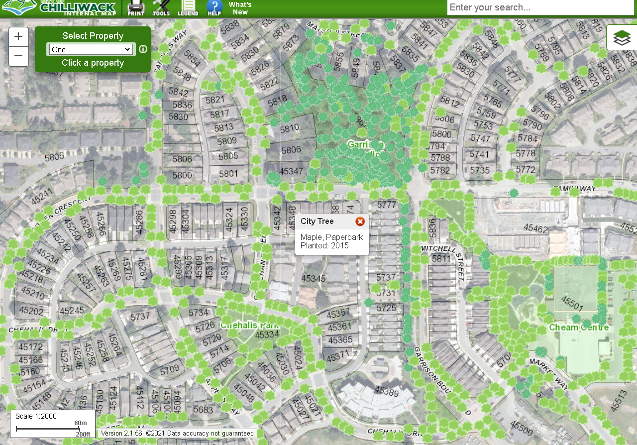 map showing trees within City of Chilliwack